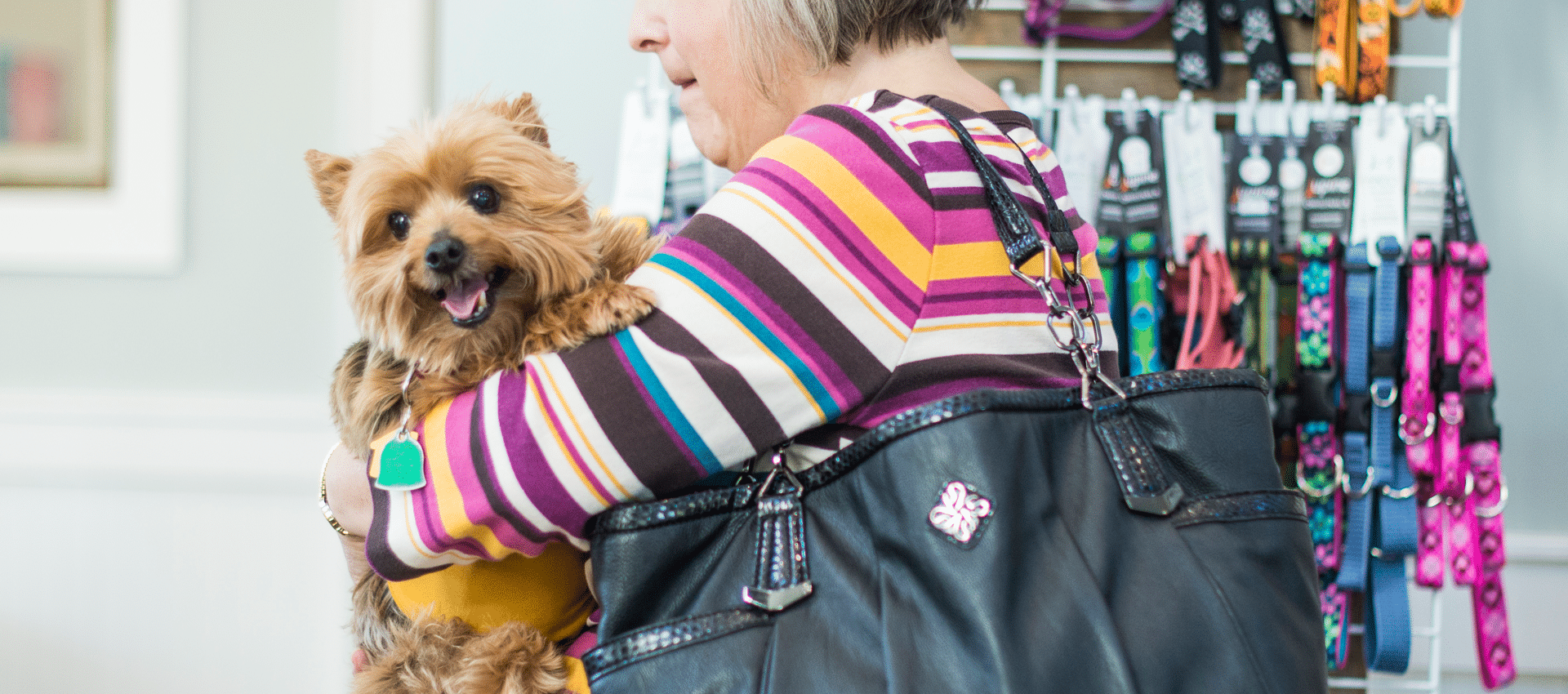 The Country Veterinary Hospital owner holding dog