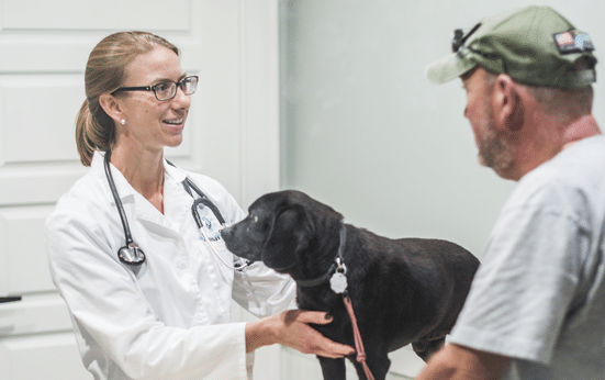 Veterinarian With Dog