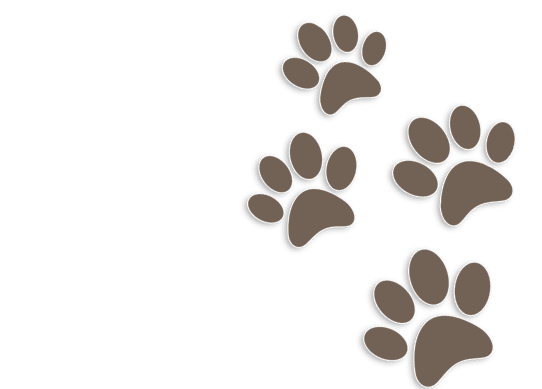 Pawprints graphic