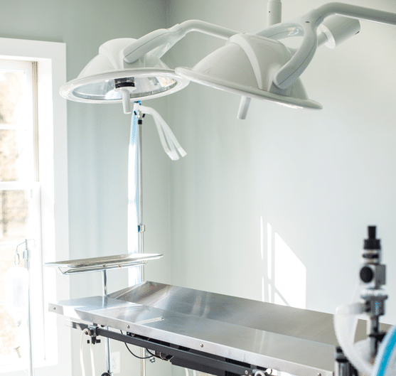 Surgery Room at The Country Veterinary Hospital